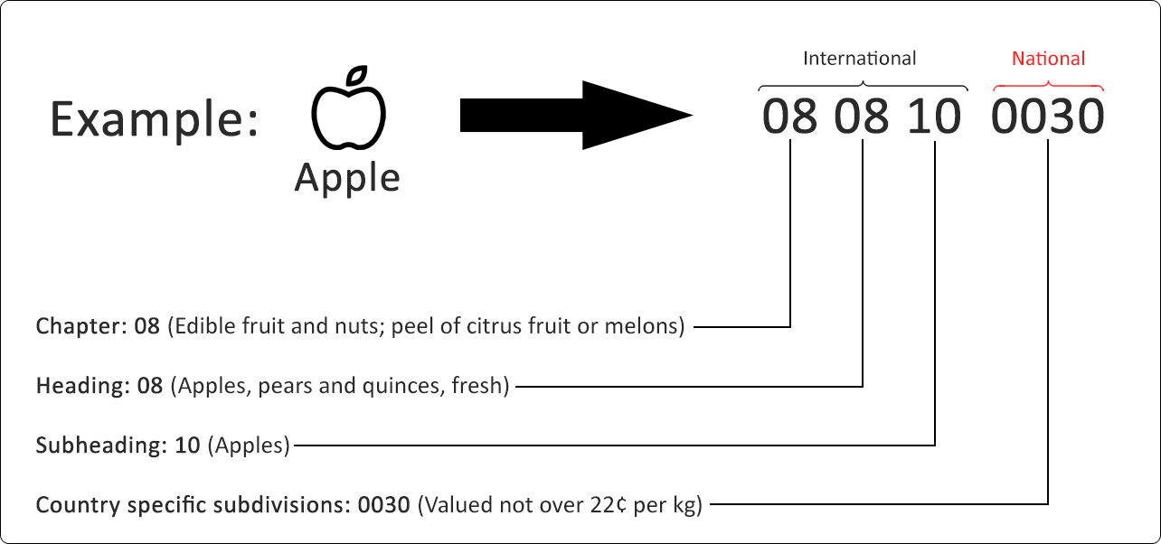example hs code breakdown